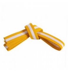 MartailArts Gold White Belt